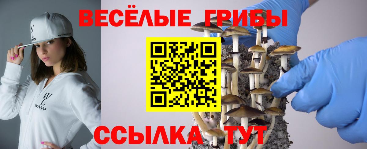 Галлюциногенные грибы Magic Shrooms Сорочинск